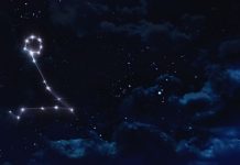 LAV – HOROSKOP ZA NAREDNA TRI DANA: Gotovo je, BIVŠA LJUBAV je SHVATILA koliko VREDITE i DOLAZI sa namerom da vas MOLI za OPROŠTAJ i NOVU ŠANSU!